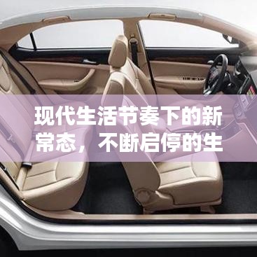 火影战记单机版跟兑换现金棋牌官方下载,实地验证分析|特别版_v9.353