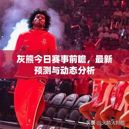 灰熊今日赛事前瞻，最新预测与动态分析