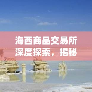 海西商品交易所深度探索，揭秘百度收录下的交易新纪元