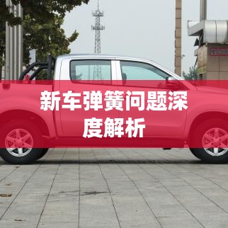 新车弹簧问题深度解析