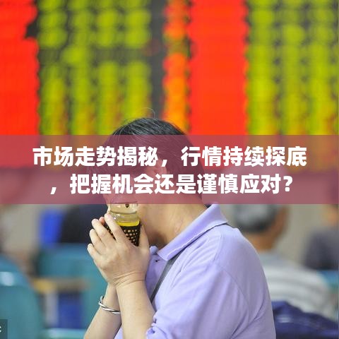 市场走势揭秘，行情持续探底，把握机会还是谨慎应对？