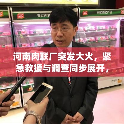 河南肉联厂突发大火，紧急救援与调查同步展开，现场火势凶猛