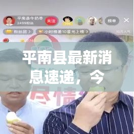 平南县最新消息速递，今日头条全掌握