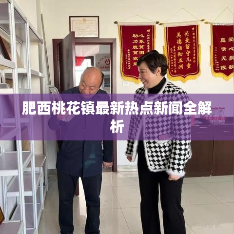 肥西桃花镇最新热点新闻全解析