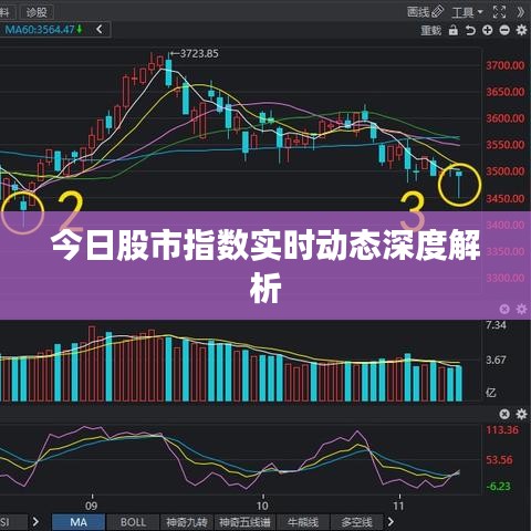 今日股市指数实时动态深度解析