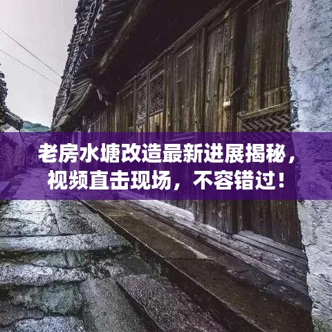 老房水塘改造最新进展揭秘，视频直击现场，不容错过！