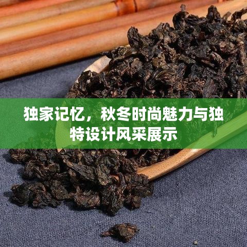 独家记忆,秋冬时尚魅力与独特设计风采展示
