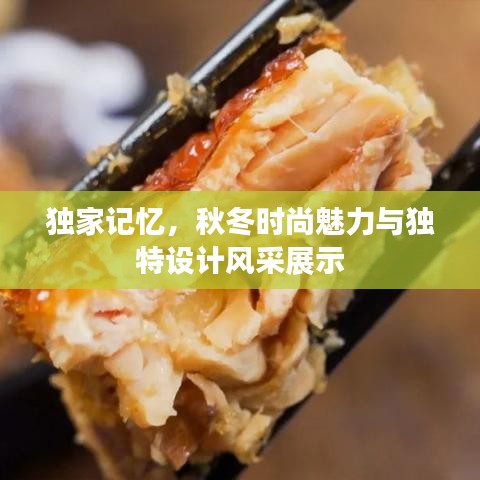 独家记忆,秋冬时尚魅力与独特设计风采展示