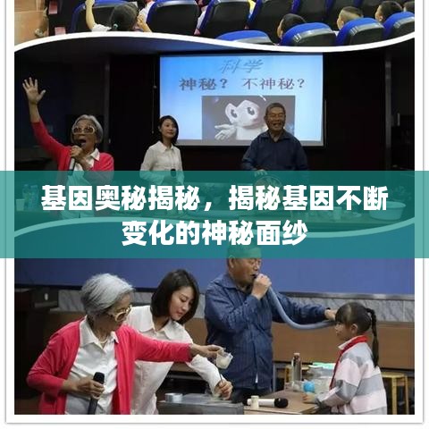 基因奥秘揭秘，揭秘基因不断变化的神秘面纱