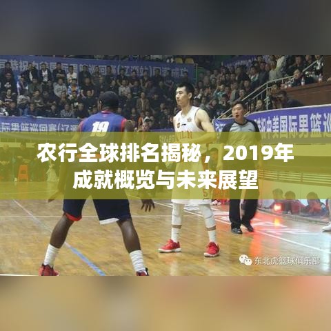 农行全球排名揭秘,2019年成就概览与未来展望