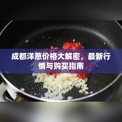 成都洋葱价格大解密，最新行情与购买指南
