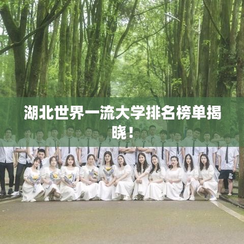 湖北世界一流大学排名榜单揭晓!