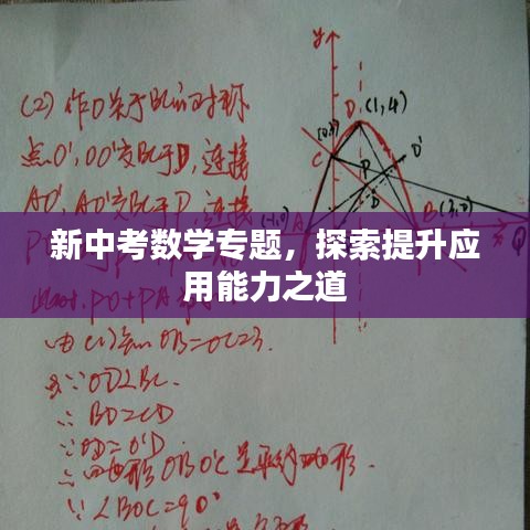 新中考数学专题,探索提升应用能力之道