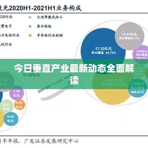 今日垂直产业最新动态全面解读
