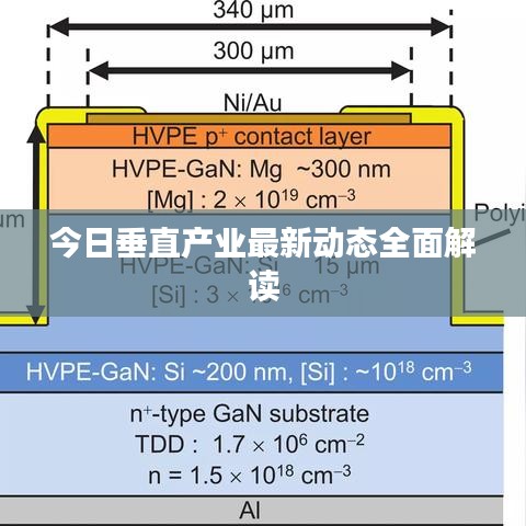 今日垂直产业最新动态全面解读