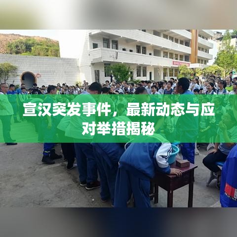 宣汉突发事件，最新动态与应对举措揭秘