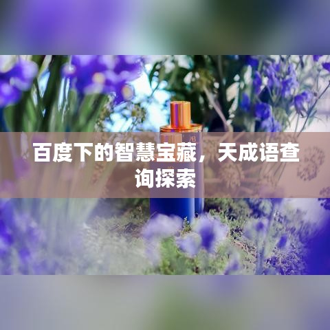 百度下的智慧宝藏，天成语查询探索