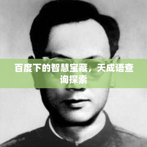 百度下的智慧宝藏,天成语查询探索