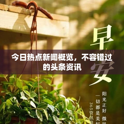 今日热点新闻概览，不容错过的头条资讯