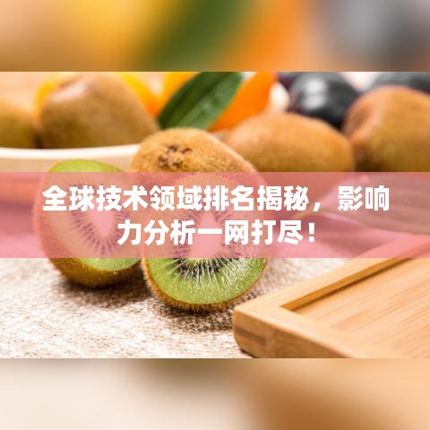 全球技术领域排名揭秘,影响力分析一网打尽!
