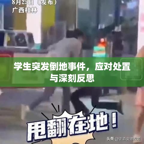 学生突发倒地事件,应对处置与深刻反思