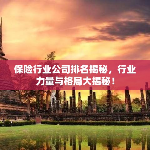 保险行业公司排名揭秘，行业力量与格局大揭秘！