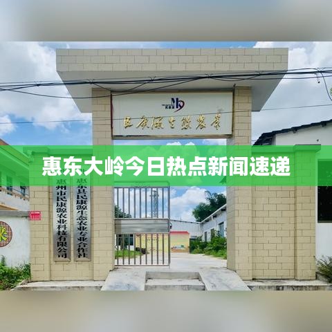 惠东大岭今日热点新闻速递