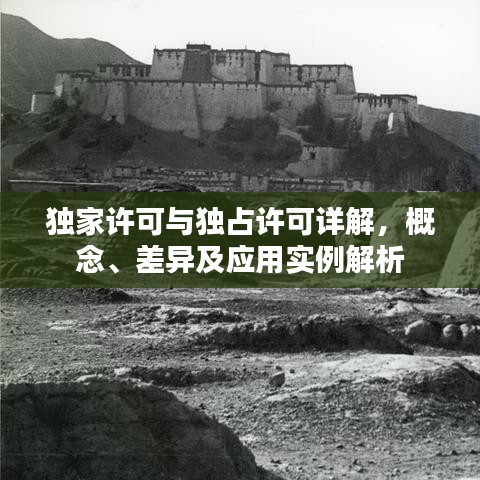 独家许可与独占许可详解，概念、差异及应用实例解析