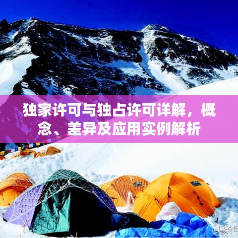 独家许可与独占许可详解,概念、差异及应用实例解析