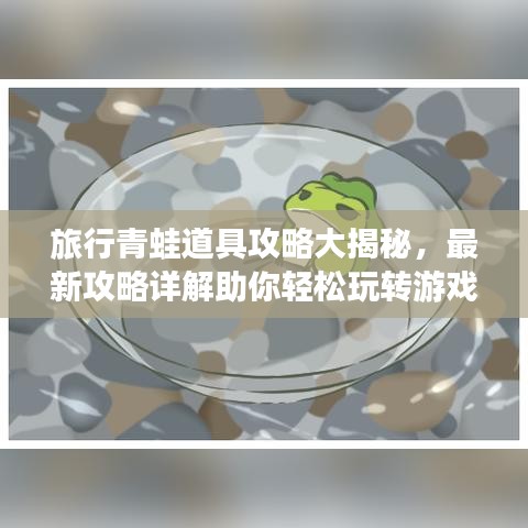 东张西望 第5页