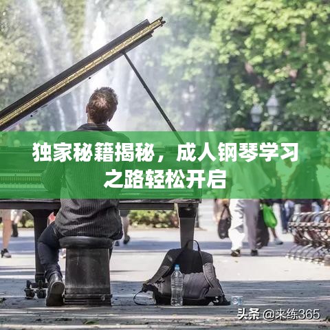 独家秘籍揭秘，成人钢琴学习之路轻松开启