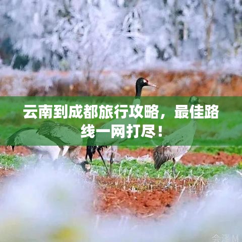 云南到成都旅行攻略，最佳路线一网打尽！
