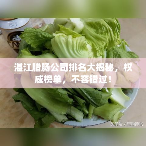 我的世界版本怎么下和百通世纪app官方下载,迅速落实计划解答_L版_v6.481