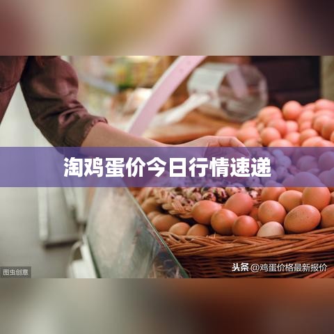 淘鸡蛋价今日行情速递