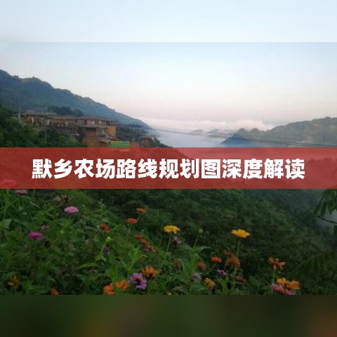 默乡农场路线规划图深度解读