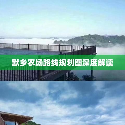 默乡农场路线规划图深度解读