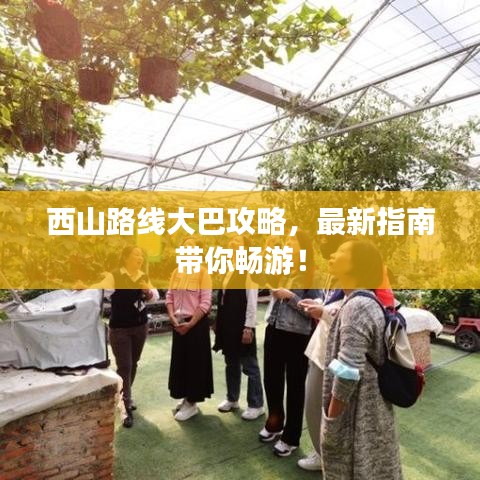 西山路线大巴攻略,最新指南带你畅游!
