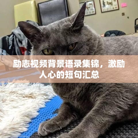 励志视频背景语录集锦，激励人心的短句汇总