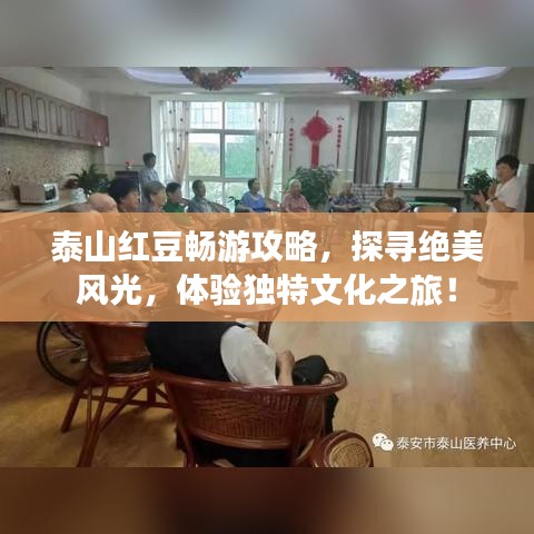 泰山红豆畅游攻略，探寻绝美风光，体验独特文化之旅！