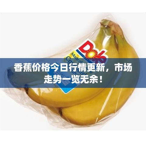 香蕉价格今日行情更新，市场走势一览无余！