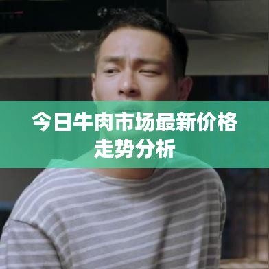 今日牛肉市场最新价格走势分析
