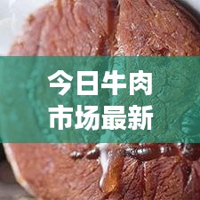 今日牛肉市场最新价格走势分析