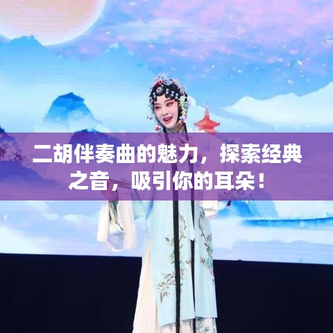 二胡伴奏曲的魅力,探索经典之音,吸引你的耳朵!