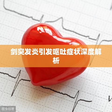 剑突发炎引发呕吐症状深度解析
