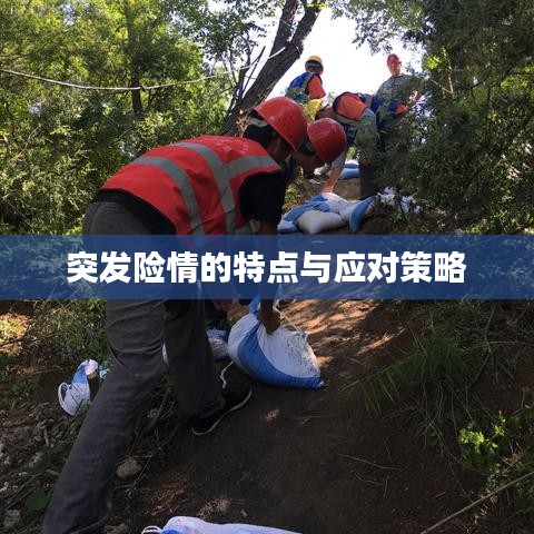 少儿趣英语官方下载或天天飞车2015新版本,深度应用策略数据&amp;S_v6.410