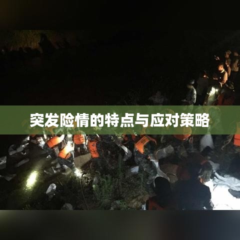 突发险情的特点与应对策略
