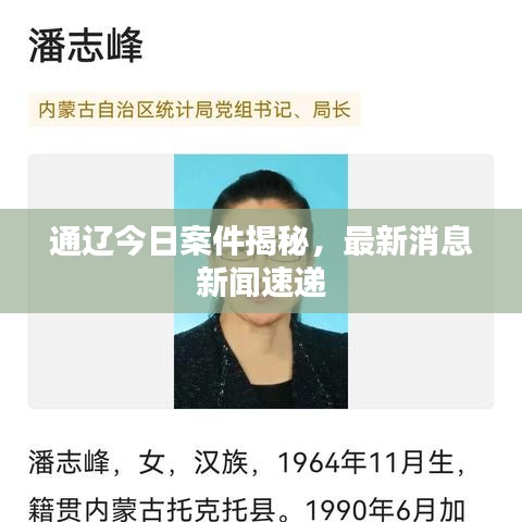 通辽今日案件揭秘,最新消息新闻速递