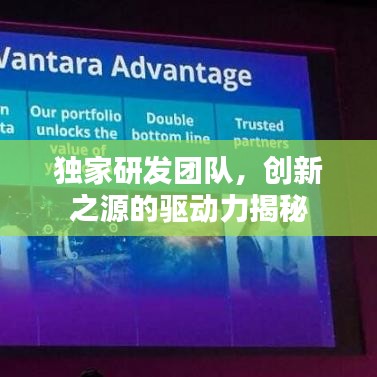 独家研发团队，创新之源的驱动力揭秘