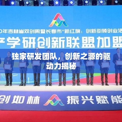 独家研发团队,创新之源的驱动力揭秘