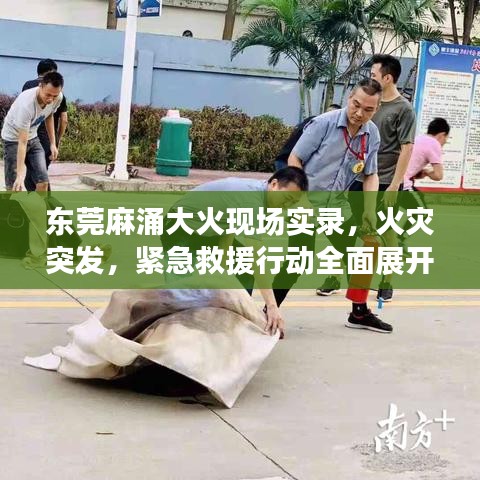 东莞麻涌大火现场实录，火灾突发，紧急救援行动全面展开